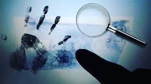 Investigación